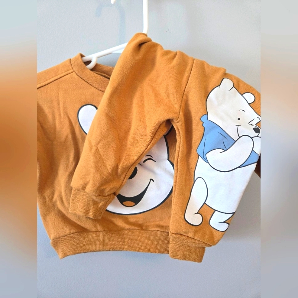 Brown Winnie the Pooh Outfit